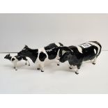 A trio of black fressian cows