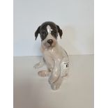 Smooth haired terrier sitting, Royal Copenhagen, Item no:120051 Erik Neilson H21cm. Alt no R259