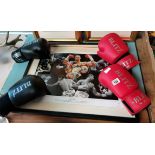 D Haye boxing picture and 2 pairs of boxing gloves