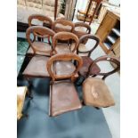 8 x Victorian dining chairs
