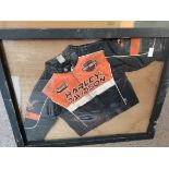 Harley Davison leather child's bike jacket framed and ltd. edition from main dealers