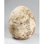 A GIGANTIC AND UNUSUAL MODEL OF AN EGG. Possibly a film prop for a dinosaur or Elephant bird. (h