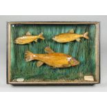 F. COBURN, AN EARLY 20TH CENTURY TAXIDERMY GLAZED CASE OF FISH, COMPRISING OF TWO DACE AND A