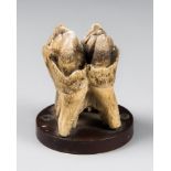 AN UNUSUAL 19TH CENTURY HIPPOPOTAMUS TOOTH. Mounted on a slightly later base. (h 8cm)
