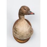 H. MURRAY & SONS, AN EARLY 20TH CENTURY TAXIDERMY PINK-FOOTED GOOSE HEAD UPON AN OAK SHIELD. Paper