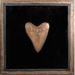 A 20TH CENTURY SCULPTURED BRONZED NATURAL HISTORY “MEGALODON TOOTH” WORK OF ART, SIGNED. (h 61cm x w