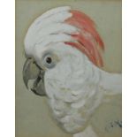 HENRY STACY MARKS, 1829 - 1898, PENCIL AND WATERCOLOUR Profile of a parrot with red crest and