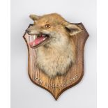 P. SPICER, A LATE 19TH CENTURY TAXIDERMY FOX MASK MOUNTED UPON AN OAK SHIELD. Inscribed: TEN RIDES