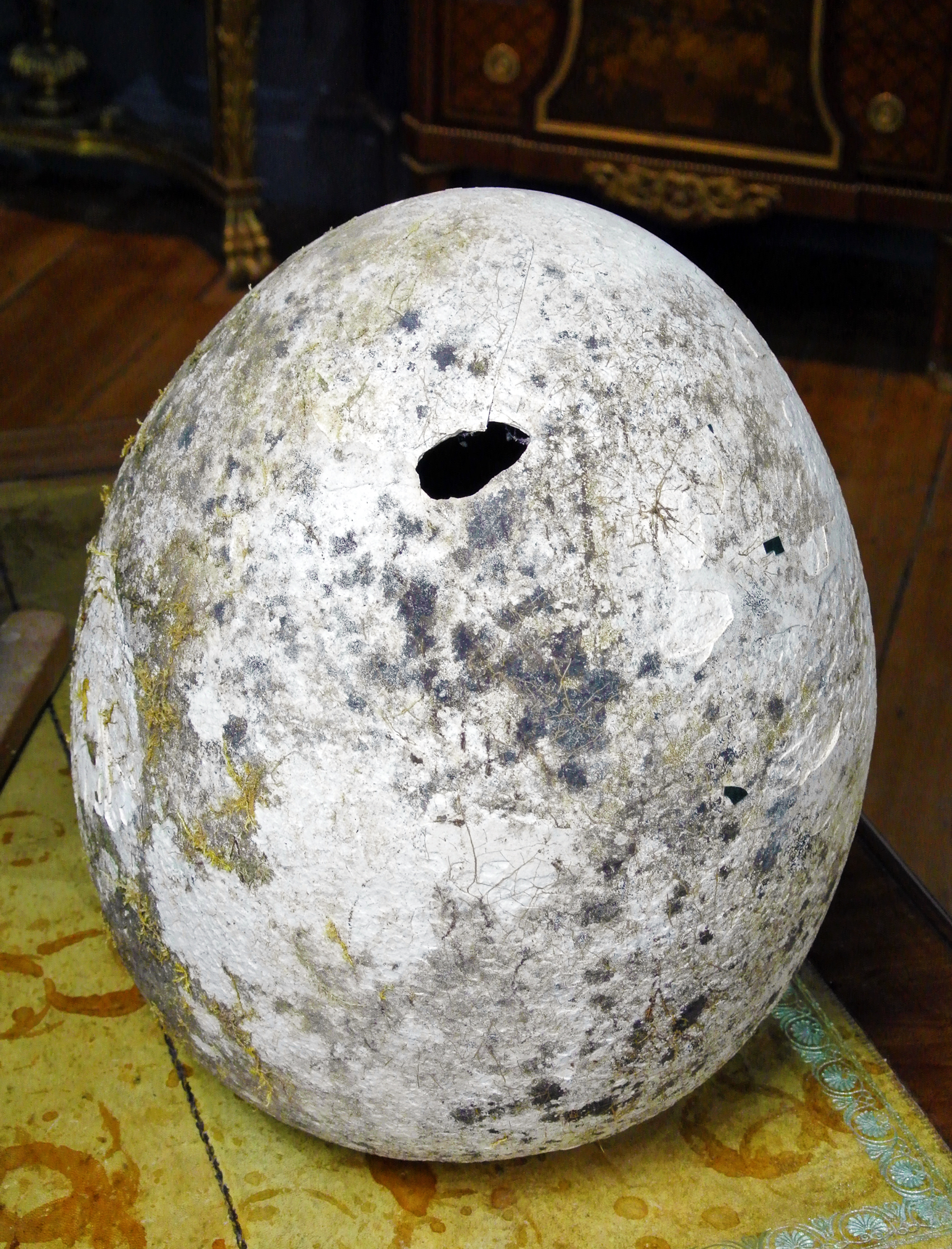 A GIGANTIC AND UNUSUAL MODEL OF AN EGG. Possibly a film prop for a dinosaur or Elephant bird. (h - Image 2 of 3