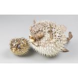 TWO LATE 20TH CENTURY TAXIDERMY PUFFERFISH. Largest (h 17.2cm x w 22cm x d 30cm)