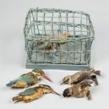 A 19TH CENTURY GROUP OF TAXIDERMY BIRDS, COMPRISING OF TWO KINGFISHERS, ABIRD CAGE AND THREE OTHER