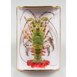 A 20TH CENTURY TAXIDERMY LOBSTER (h 27cm x w 19.5cm)