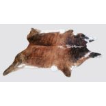 A LARGE 21ST CENTURY TAXIDERMY COW HIDE (l 248cm x w 210cm)