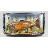 A 20TH CENTURY TAXIDERMY MIRROR CARP IN A PERSPEX GLAZED BOW FRONT CASE, BY ROBERT STUART OF
