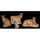 ROYAL CROWN DERBY, A COLLECTION OF FOUR PORCELAIN BIG CAT PAPERWEIGHTS 'Cheetah V111', 'Cheetah