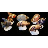 ROYAL CROWN DERBY, A COLLECTION OF SEVEN TROPICAL FISH PAPERWEIGHTS 'Guppy L111', 'Sweetlips