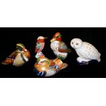ROYAL CROWN DERBY, A COLLECTION OF FIVE PORCELAIN BIRD PAPERWEIGHTS 'Snowy Owl MMV,' 'Green Winged