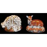 ROYAL CROWN DERBY, TWO LARGE PORCELAIN PAPERWEIGHTS 'Recumbent Deer', exclusively made for The Royal