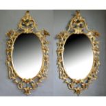 A PAIR OF 19TH CENTURY GEORGE III CARVED GILTWOOD ROCOCO DESIGN OVAL MIRRORS THE PLATE SURROUNDED BY