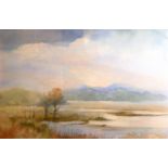 ANITA SKINNER, WATERCOLOUR Titled 'The Winter Meadows, Somerset', landscape, signed lower left,