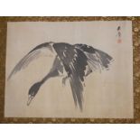 WITHDRAWN YU ZHANG, A VINTAGE CHINESE WATERCOLOUR SCROLL An exotic bird in flight, signed upper righ