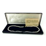 A 9CT GOLD AND CULTURED PEARL NECKLACE The single row of pearls with spherical 9ct gold clasp,