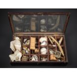 A 19TH CENTURY GLAZED NATURAL HISTORY SPECIMEN CASE OF WORLD TRAVELS. Housing a collection of