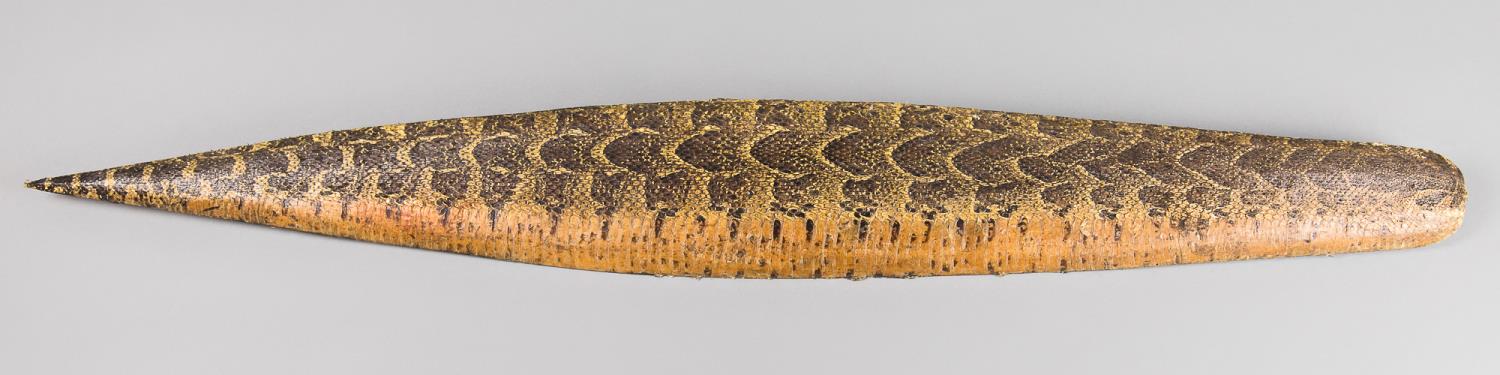 ROWLAND WARD, AN UNUSUAL EARLY 20TH CENTURY TAXIDERMY PYTHON SKIN SHIELD MOUNT. The wooden structure