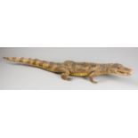 AN EARLY 20TH CENTURY TAXIDERMY CROCODILE (108cm)