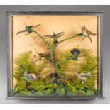 A LATE 19TH CENTURY TAXIDERMY DIORAMA OF EXOTIC BIRDS IN A GLAZED CASE WITH A NATURALISTIC