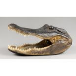 A 20TH CENTURY TAXIDERMY AMERICAN ALLIGATOR HEAD MOUNT. The underside lined with felt. (h 15cm x w