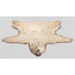 A 20TH CENTURY TAXIDERMY POLAR BEAR SKIN RUG WITH MOUTED HEAD. The Polar bear was shot on an
