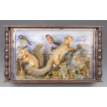 A 19TH CENTURY TAXIDERMY DIORAMA COMPRISING OF TWO RED SQUIRRELS AND THREE BRITISH GARDEN BIRDS,