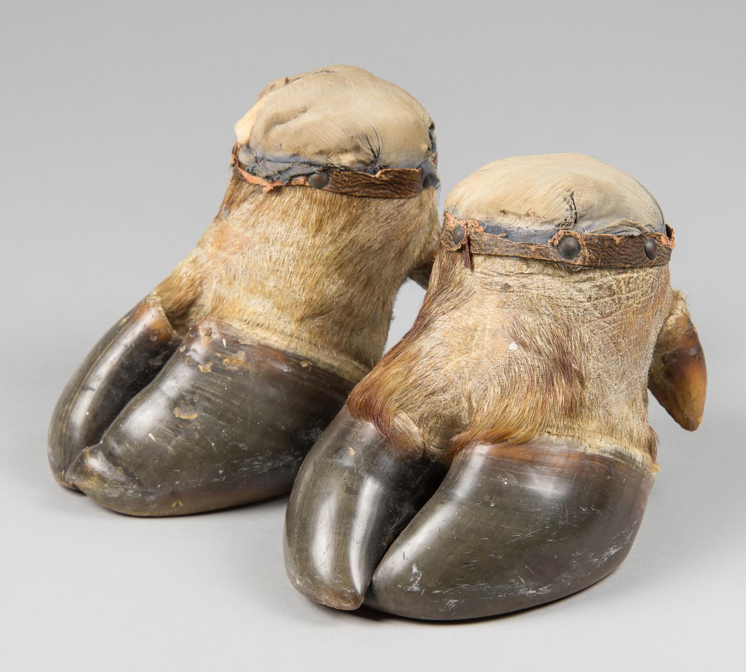 A LATE 19TH CENTURY PAIR OF TAXIDERMY BUFFALO FOOT PIN CUSHIONS/DOORSTOPS. The largest (h 15.5cm x w