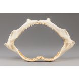 A 20TH CENTURY SHARK JAW SET (h 24cm x w 38cm)