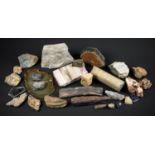 A COLLECTION OF FOSSILS AND MINERALS. The largest 21cm.