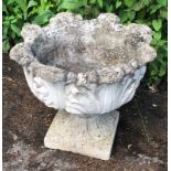 A RECONSTITUTED STONE GARDEN PLANTER On a square plinth base. (25cm)