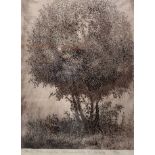 TERRY KUBECKI, MODERN BRITISH, ETCHING Titled 'Gordon & Nickis Tree', R.A. Summer Exhibition 1997,