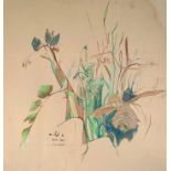 FOLLOWER OF MAXWELL ASHBY ARMFIELD, 1882 - 1972, WATERCOLOUR Still life, study of foliage, bearing