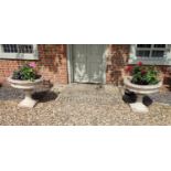 A PAIR OF 19TH CENTURY DESIGN RECONSTITUTED TERRACOTTA PLANTERS On pedestal bases, cream painted