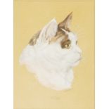 M.S. JONES, A GROUP OF FOUR 20TH CENTURY WATERCOLOURS Three portraits of dogs along with a cat,