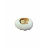 A LATE 19TH EARLY 20TH CENTURY JAPANESE CARVED IVORY NETSUKE formed as a chick hatching from an egg,