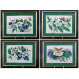 Four Framed Rice Paper Paintings Of Flowers, C1880 Size 305mm x 330mm