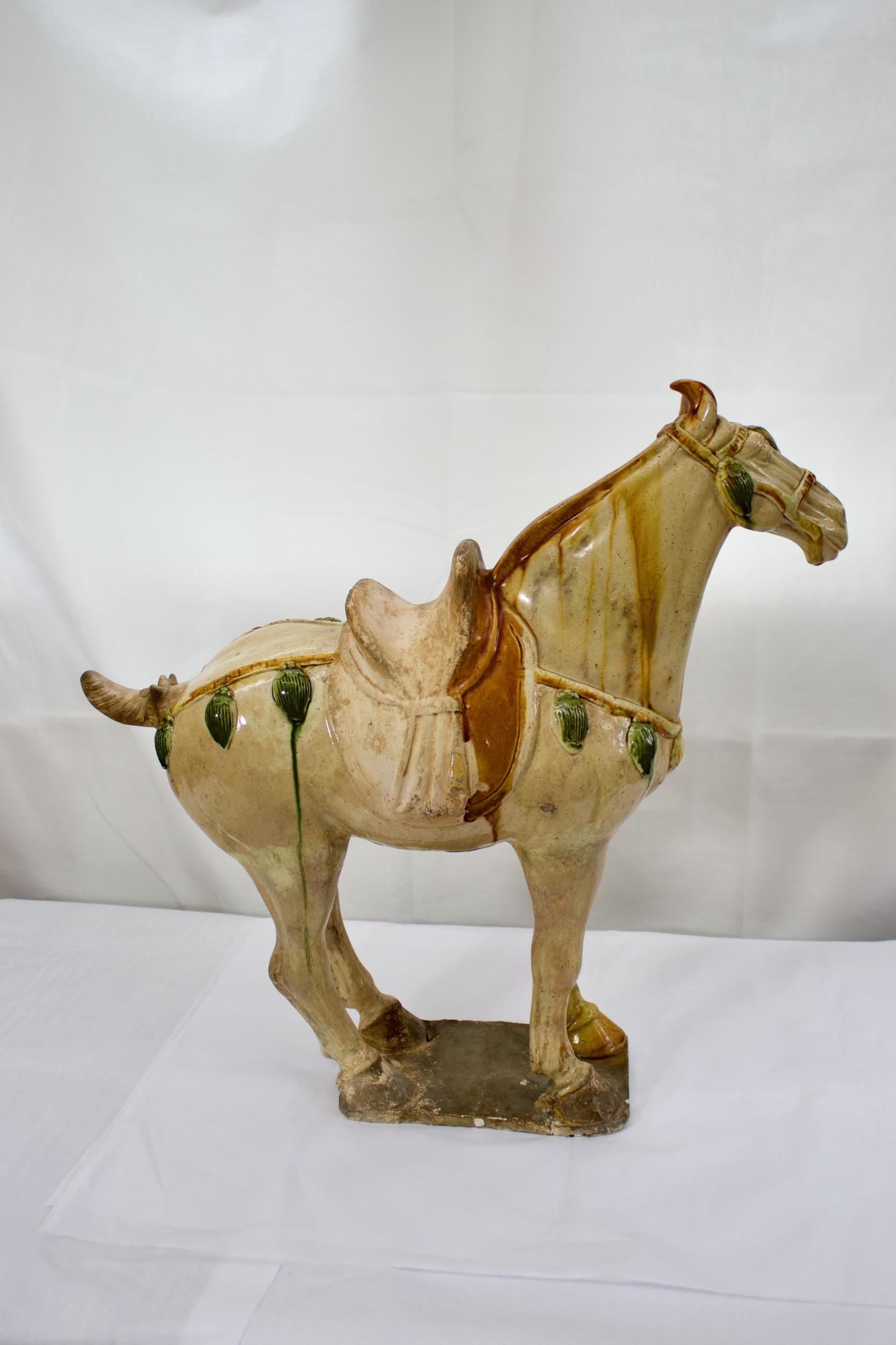 PROPERTY FROM COLLECTION IN CHESHIRE. - A Large Sancai glazed standing horse, Tang Dynasty , with TL - Image 5 of 8