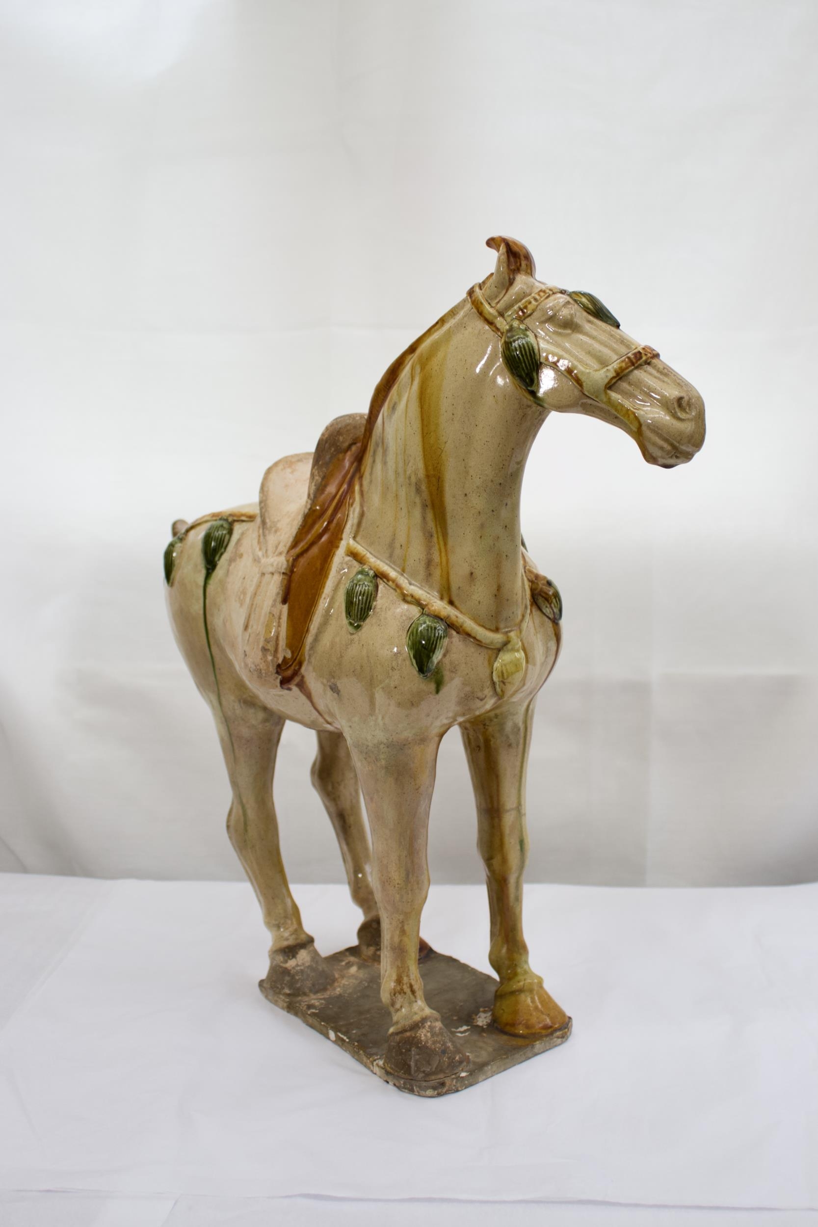 PROPERTY FROM COLLECTION IN CHESHIRE. - A Large Sancai glazed standing horse, Tang Dynasty , with TL - Image 3 of 8