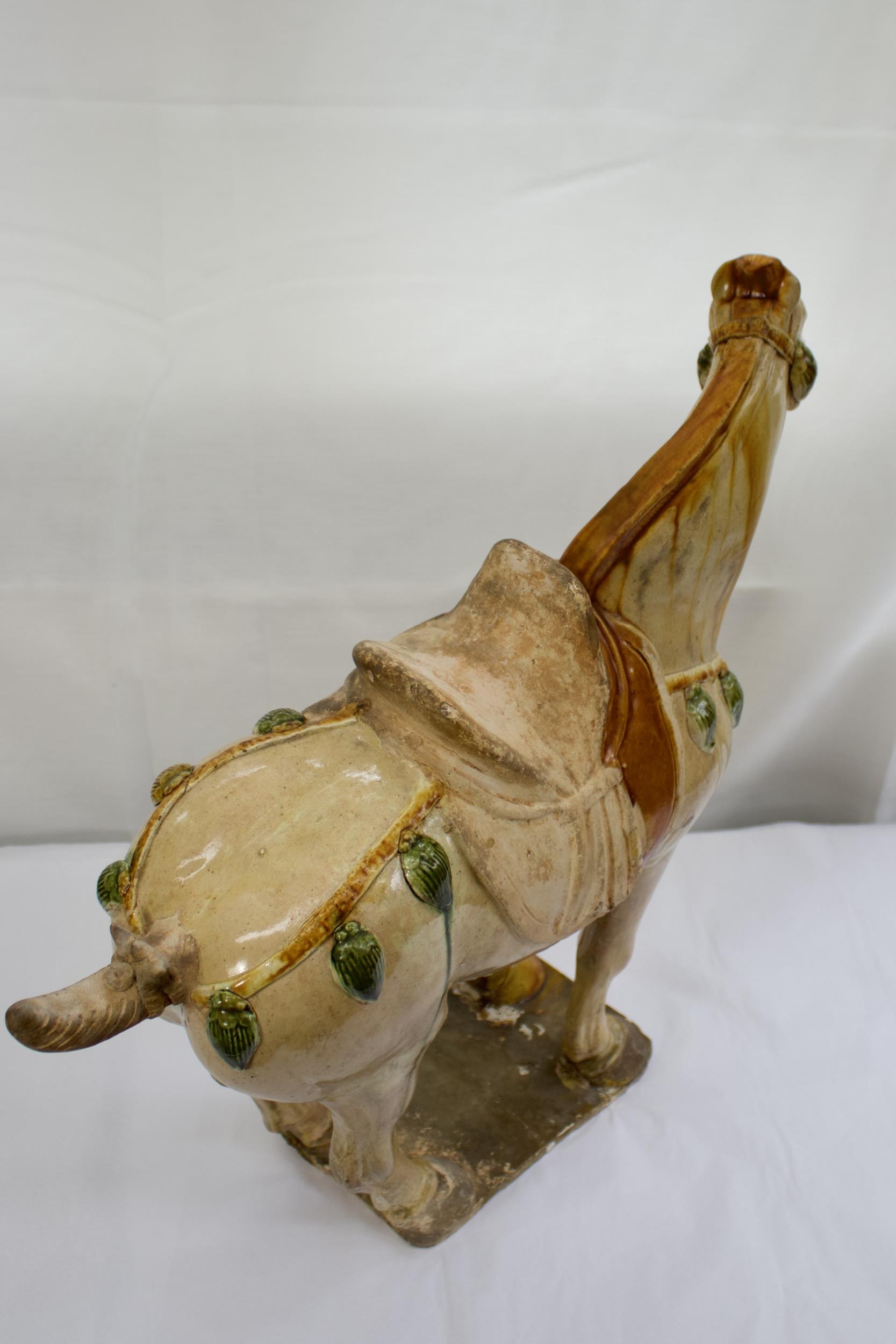 PROPERTY FROM COLLECTION IN CHESHIRE. - A Large Sancai glazed standing horse, Tang Dynasty , with TL - Image 8 of 8