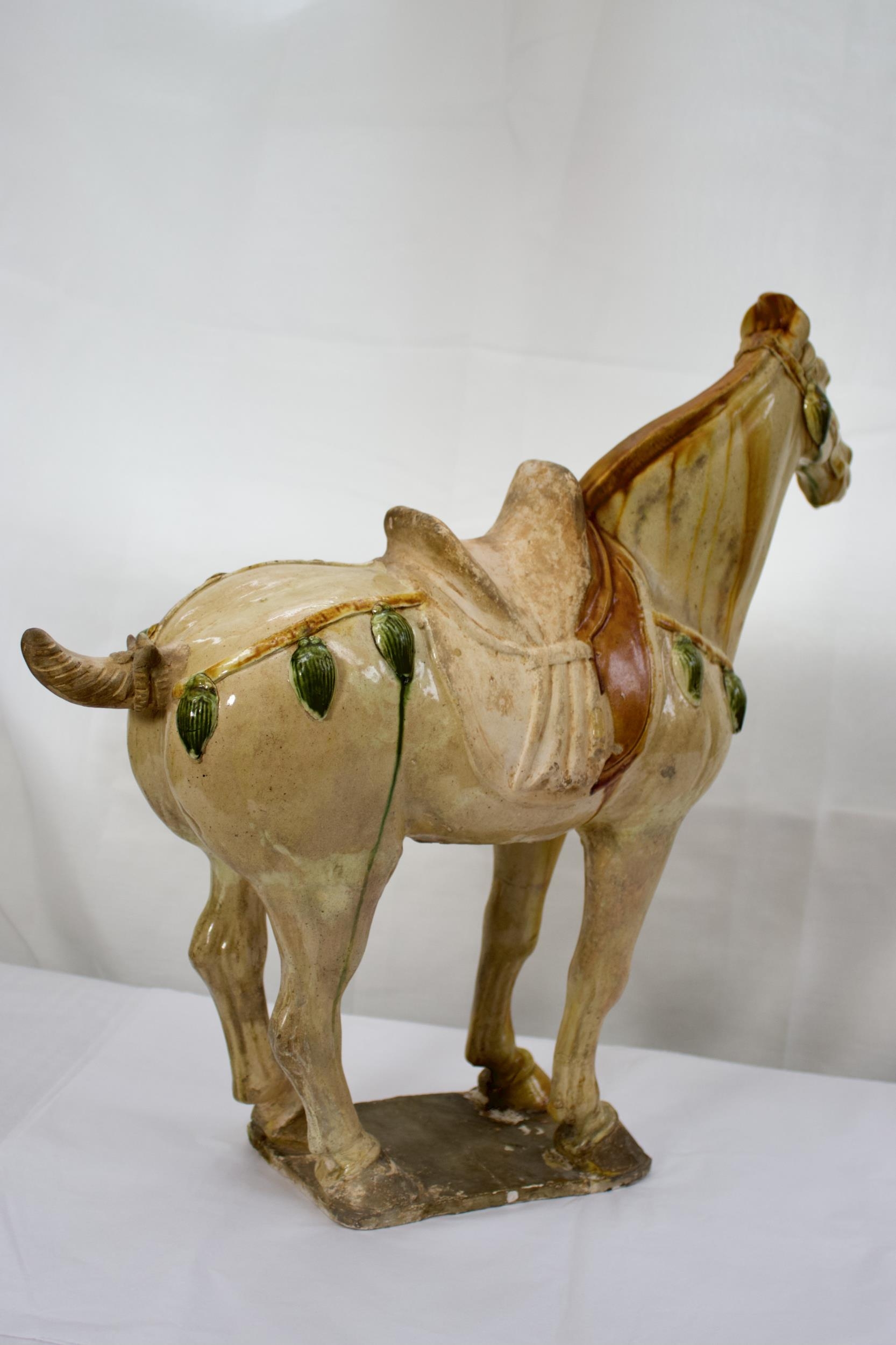 PROPERTY FROM COLLECTION IN CHESHIRE. - A Large Sancai glazed standing horse, Tang Dynasty , with TL - Image 6 of 8
