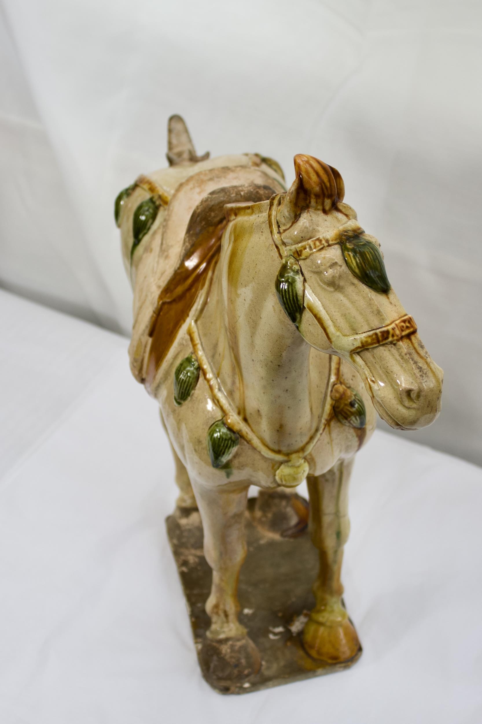 PROPERTY FROM COLLECTION IN CHESHIRE. - A Large Sancai glazed standing horse, Tang Dynasty , with TL - Image 7 of 8