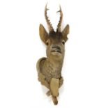 A composite roebuck head mount,