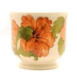 A Moorcroft Hibiscus pattern jardiniere, 23cm high